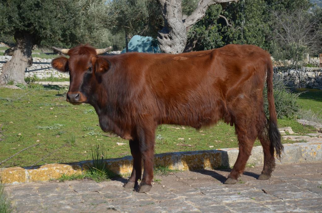 בית הארחה סנטה קרוצ'ה קמרינה 	Casina Di Grotta Di Ferro מראה חיצוני תמונה